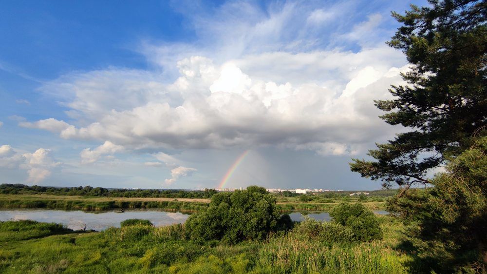 Photograph by Елена Нор