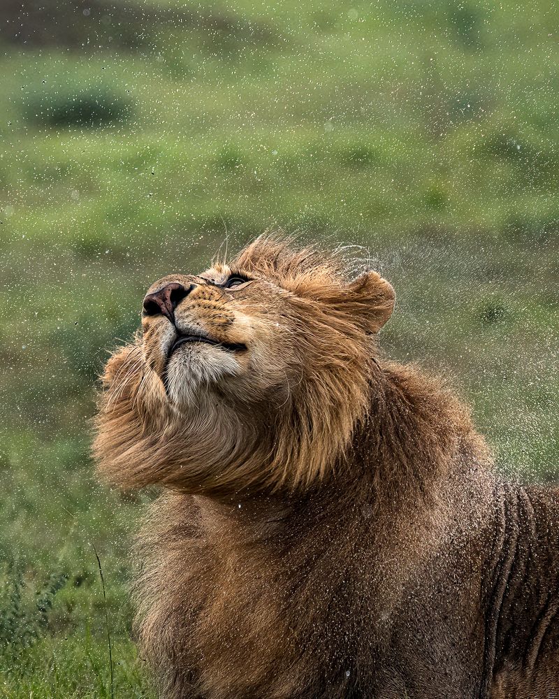 Photograph by Jayakumar MN