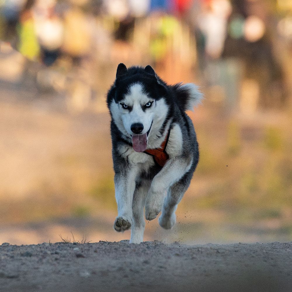 Photograph by Илья Юфа