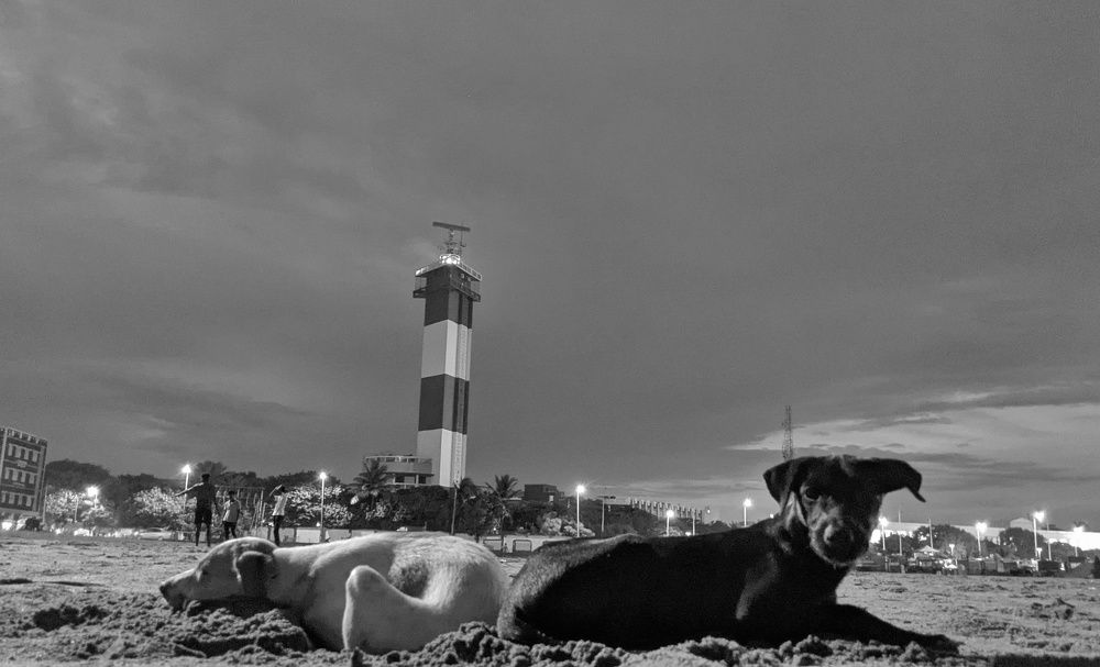 Photograph by Aparna Bhaskaran