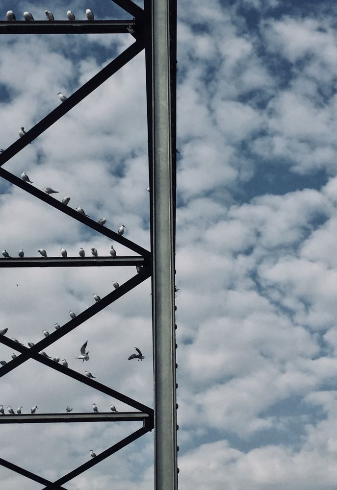 Photograph by Hossein Safaei