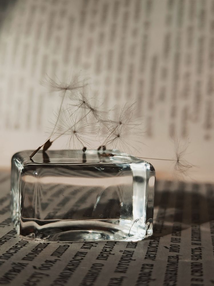 Photograph by Halina Mitsevich