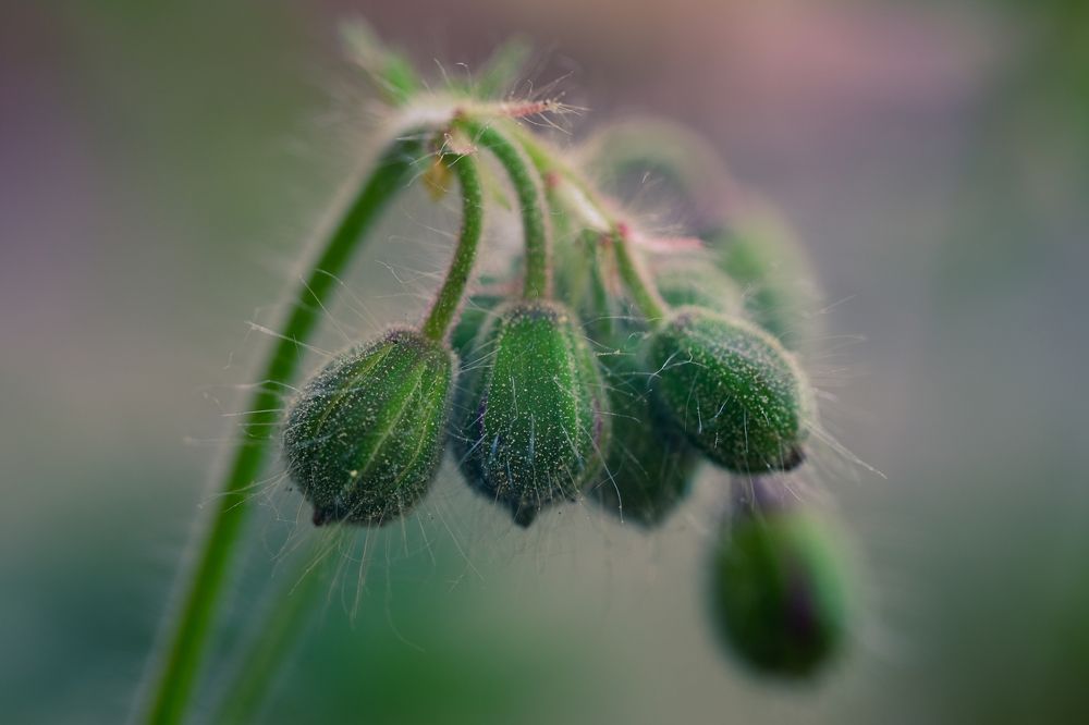 Photograph by Ольга Тюрина