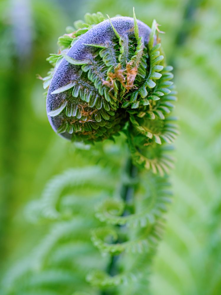 Photograph by Ольга Тюрина