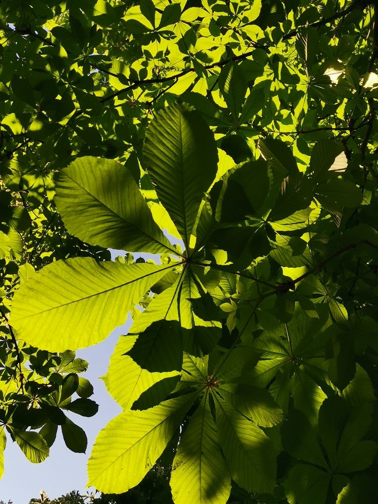 Photograph by Анна Чадова