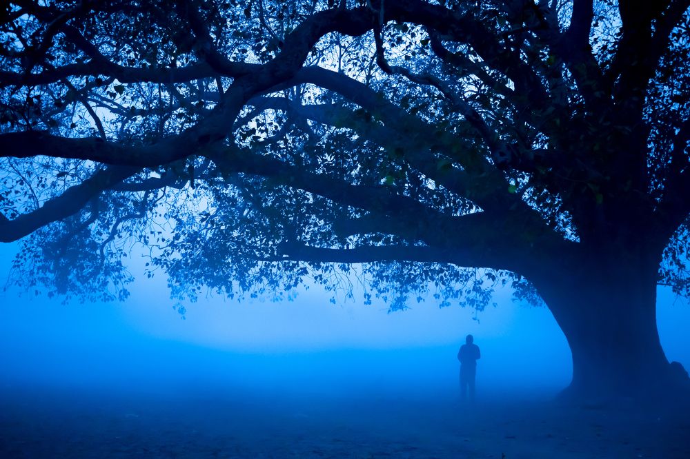 Morning blues