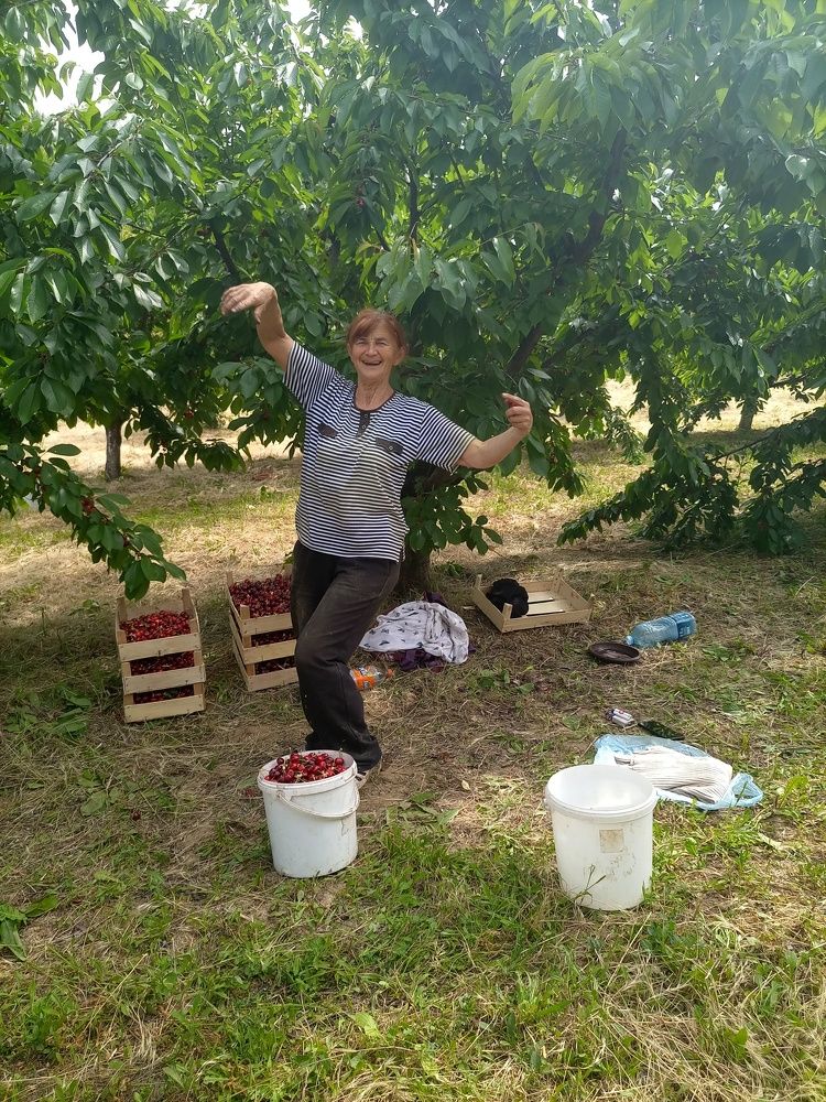 Фотография автора Tanja Grdijan