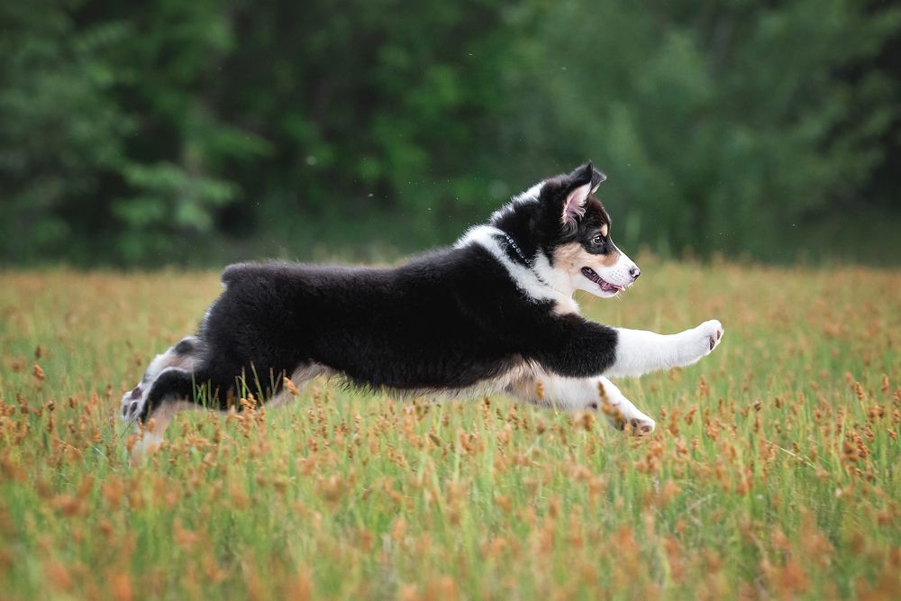 Фотография автора Anna Vilkhovaya
