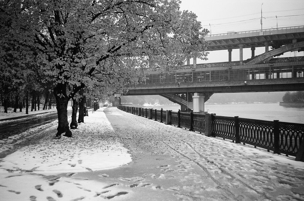 Photograph by Курков-Тарковский Сергей