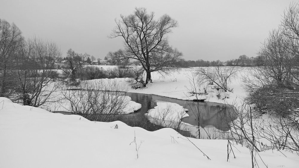 Photograph by Елена