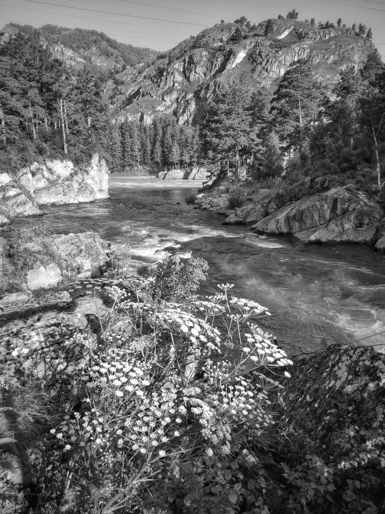 Photograph by Татьяна Лисянская