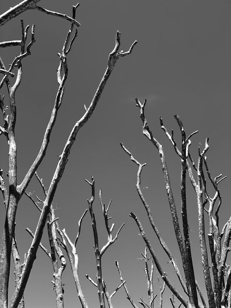 Photograph by Elena Sobol