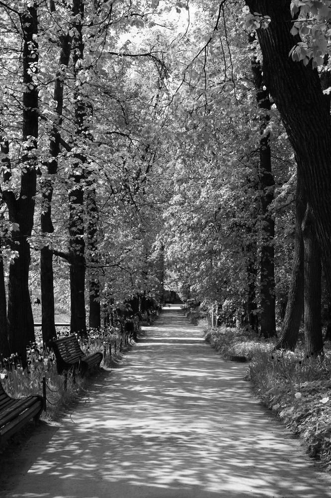 Photograph by Светлана Шуткова