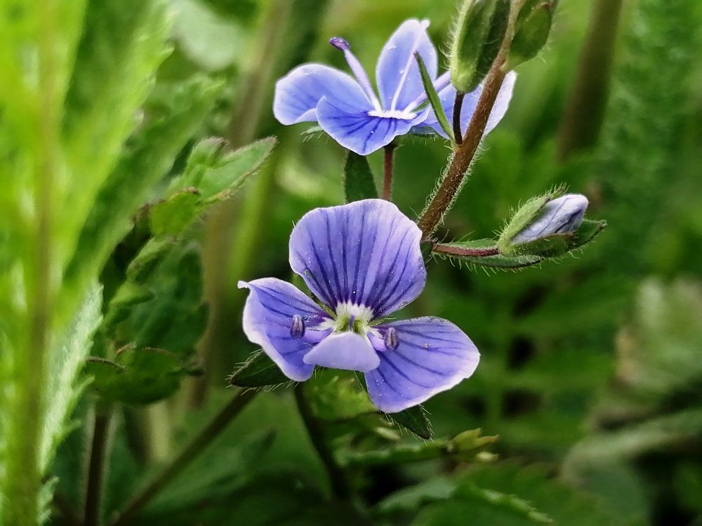 Photograph by Александра Зиновьева
