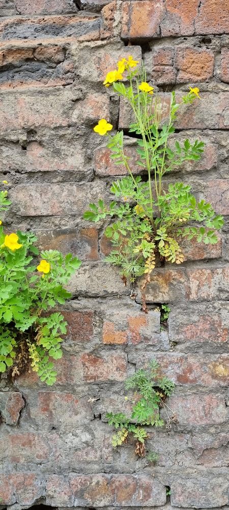 Photograph by Swetlana