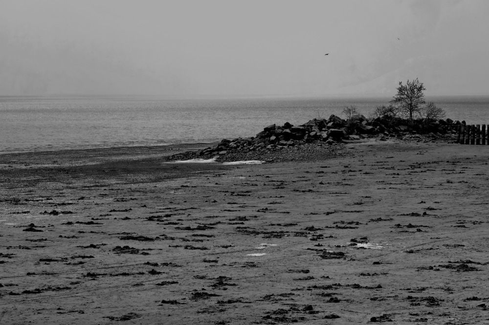 Photograph by Сергей Гребенников