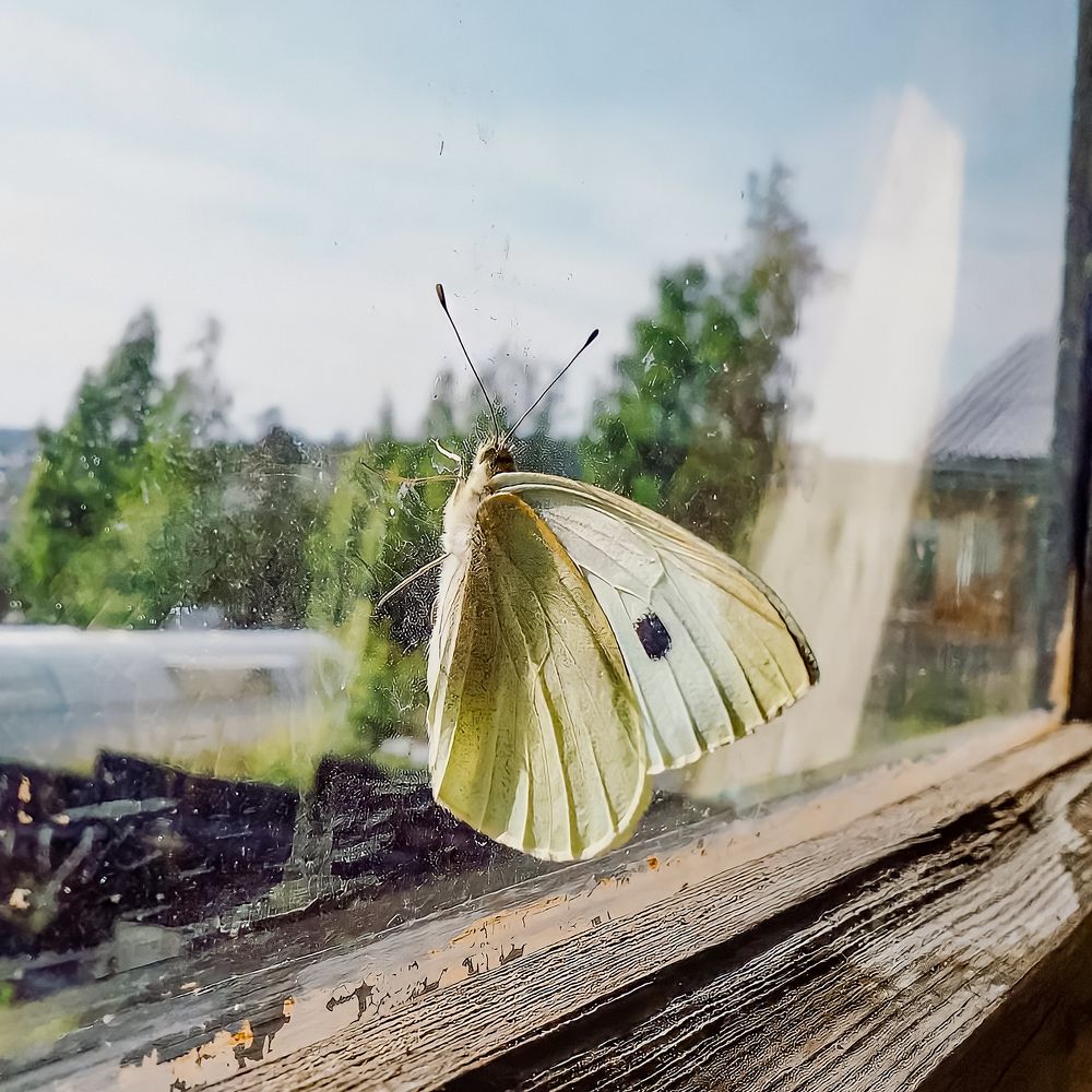 Photograph by Anna Solomina