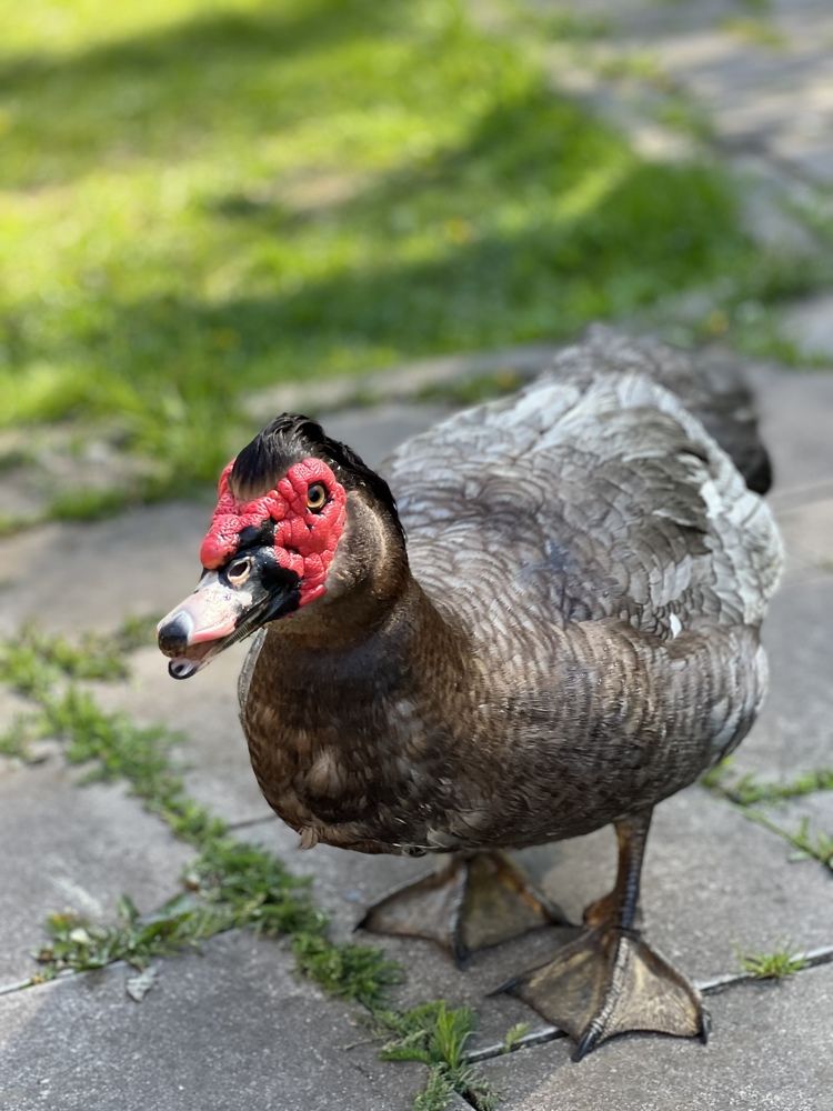 Фотография автора Maria Efremova