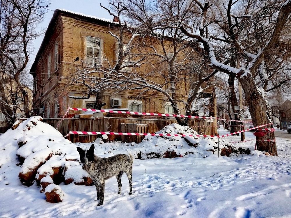 Photograph by Диана Арье