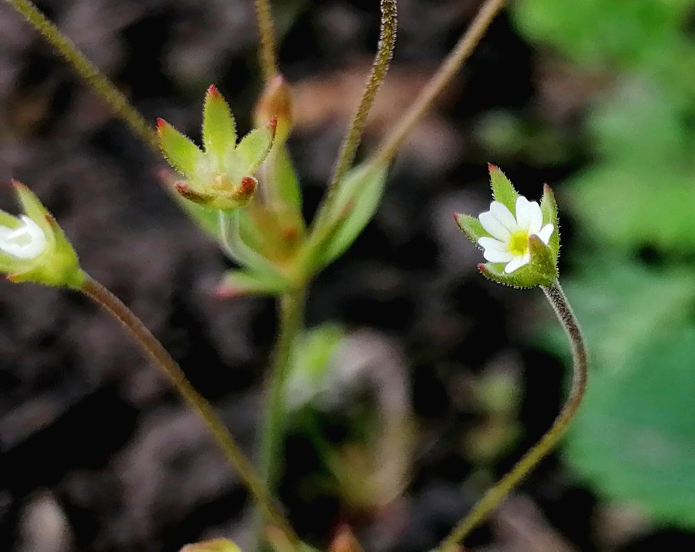 Photograph by Александра Зиновьева