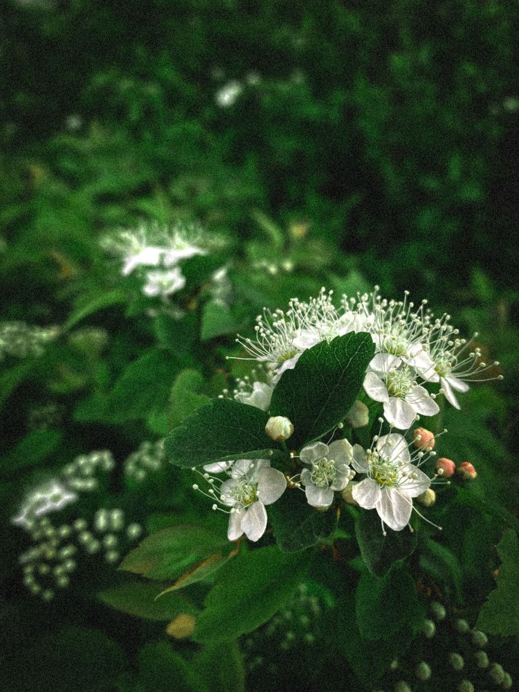 Photograph by Светлана Гришина