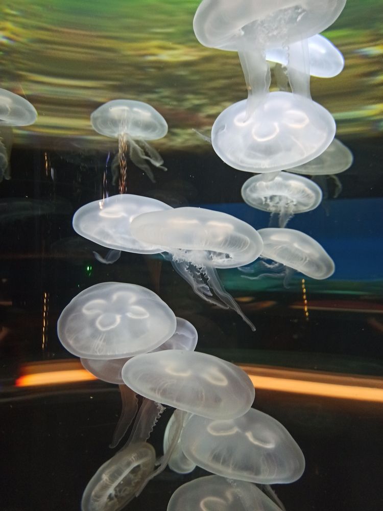 Photograph by Татьяна Андрусенко