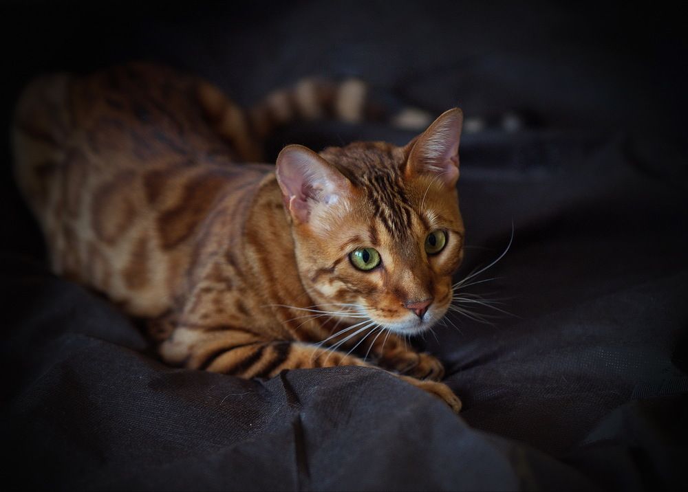 Photograph by Лидия Ушакова