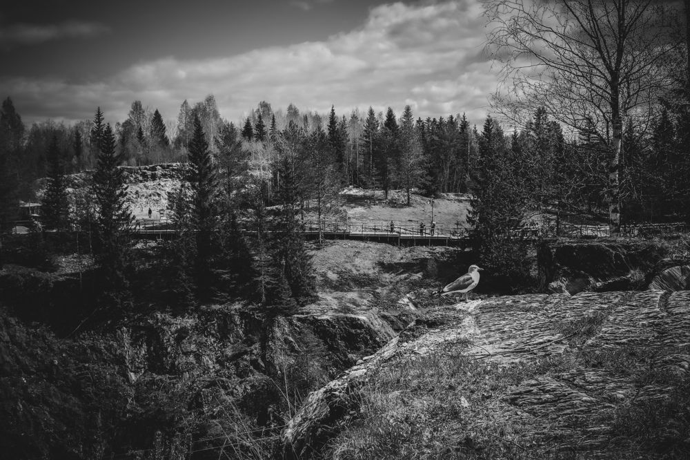 Photograph by Алёна Бабенко