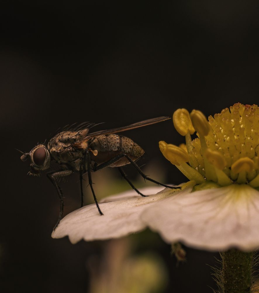 Photograph by Дмитрий