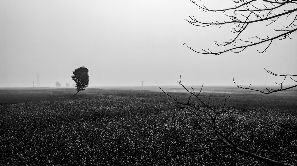 Photograph by Nishant Raj