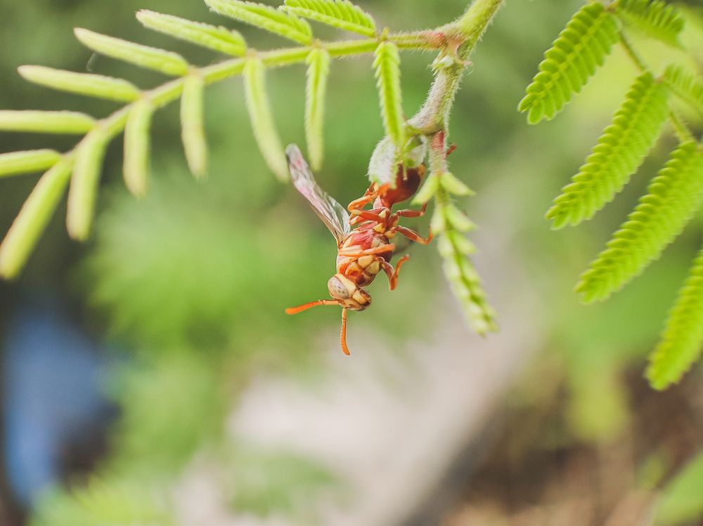 Hang on there snap me first