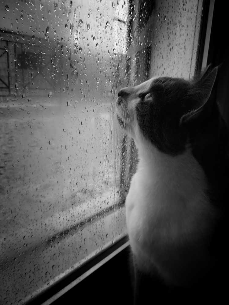 Photograph by John Logkarakis