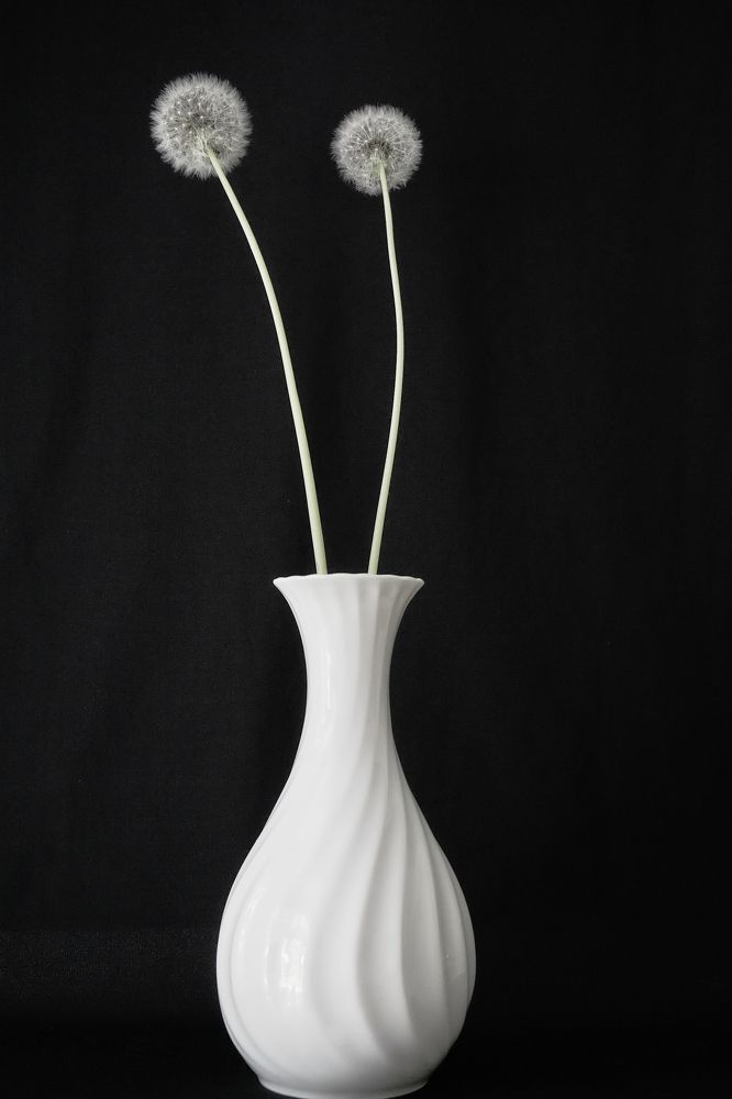 Photograph by Natalie Liedtke