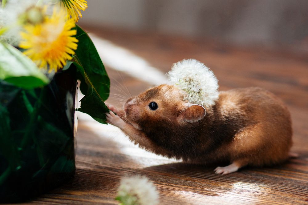 Photograph by Екатерина Кваша