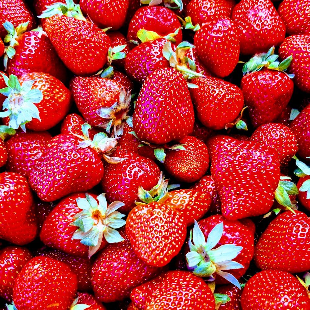 Photograph by Дмитрий Шумский