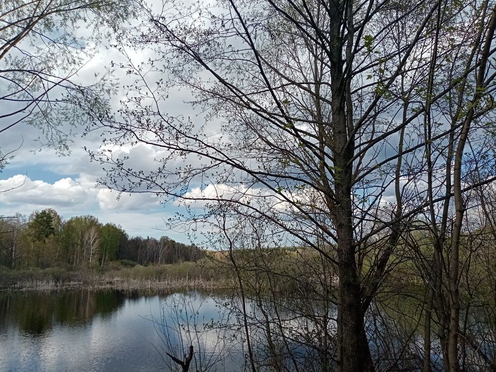 Photo #7601910