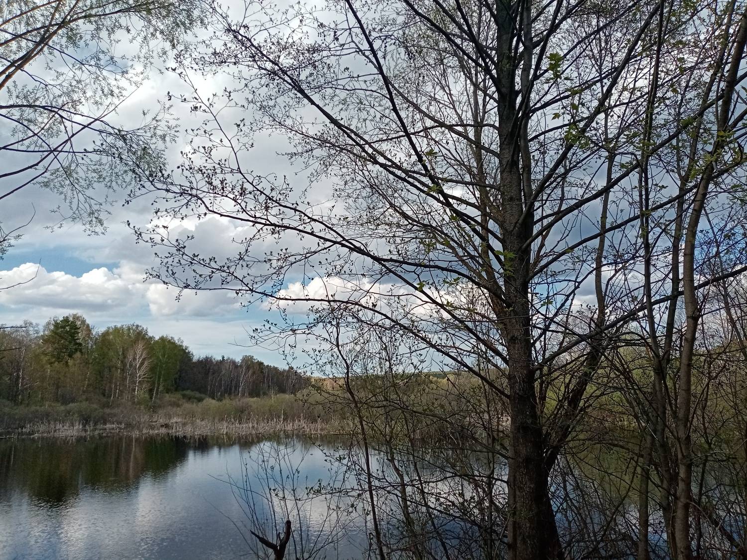 Photo #7601910