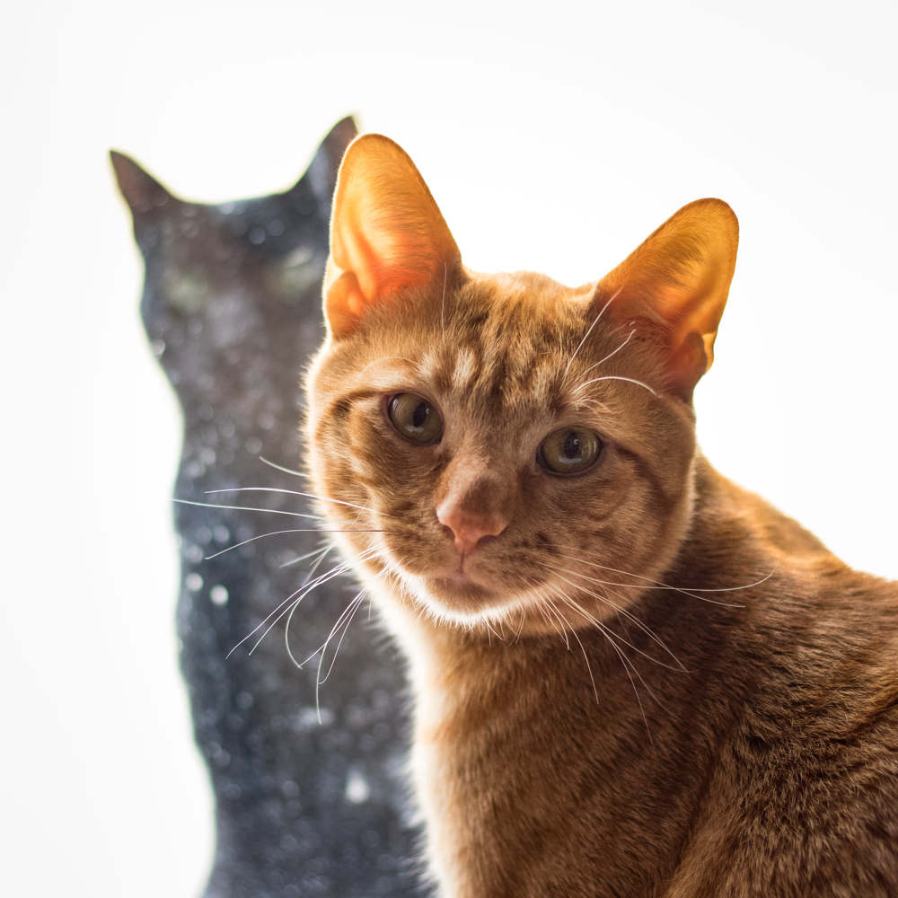 Photograph by John Logkarakis