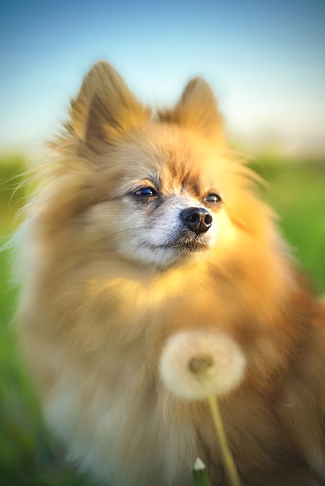 Фотография автора Алиса Чурчудесная