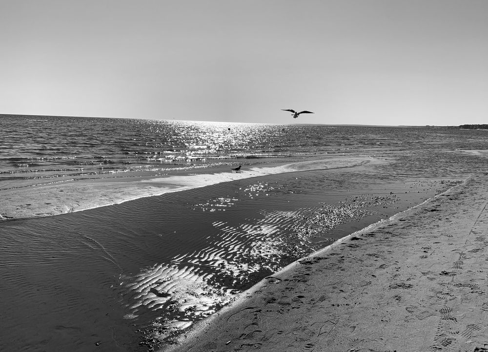 Photograph by Nadezhda Bakina