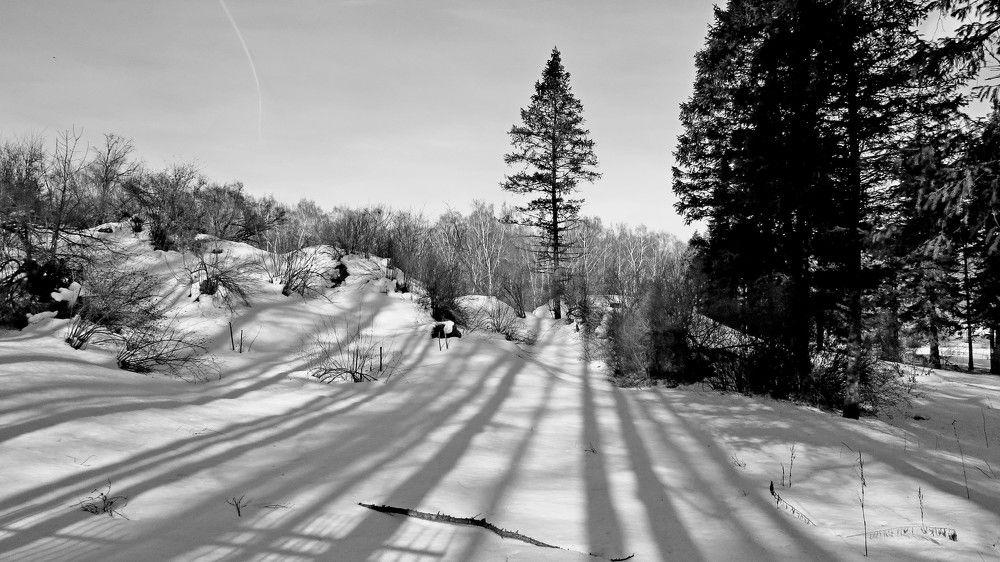 Photograph by Елена