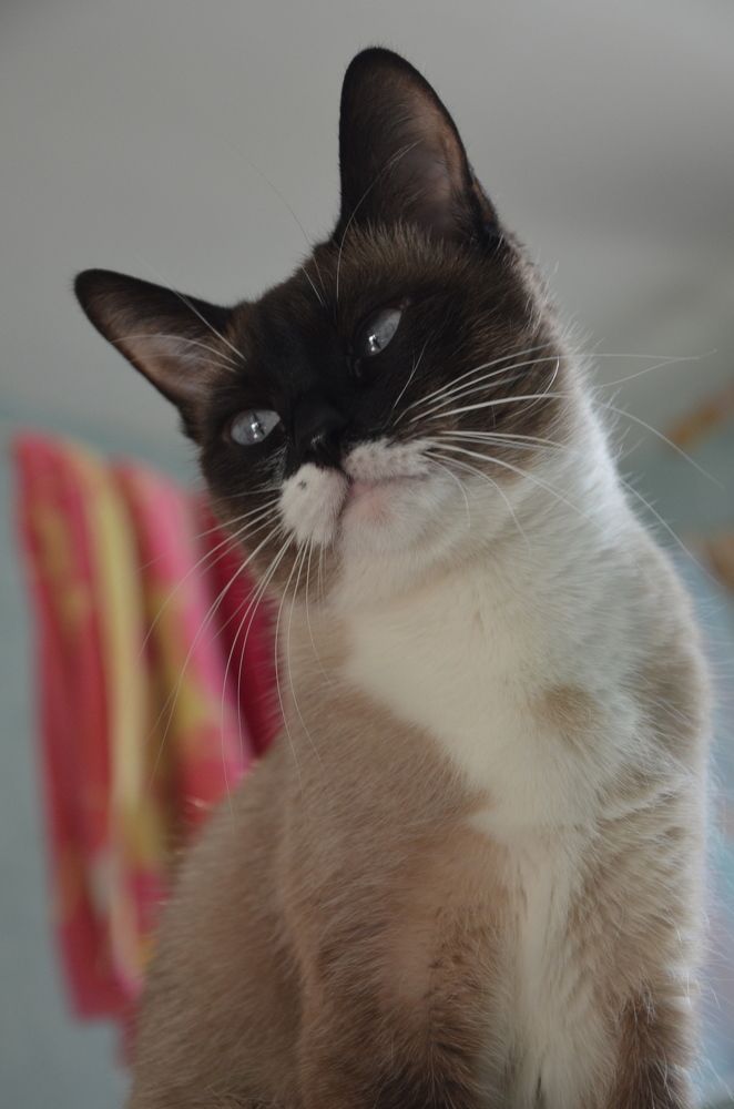 Photograph by Valentina