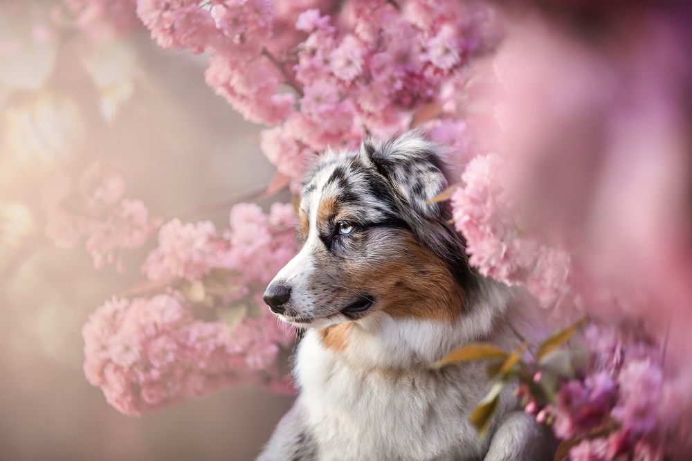 Photograph by Ольга Замковая