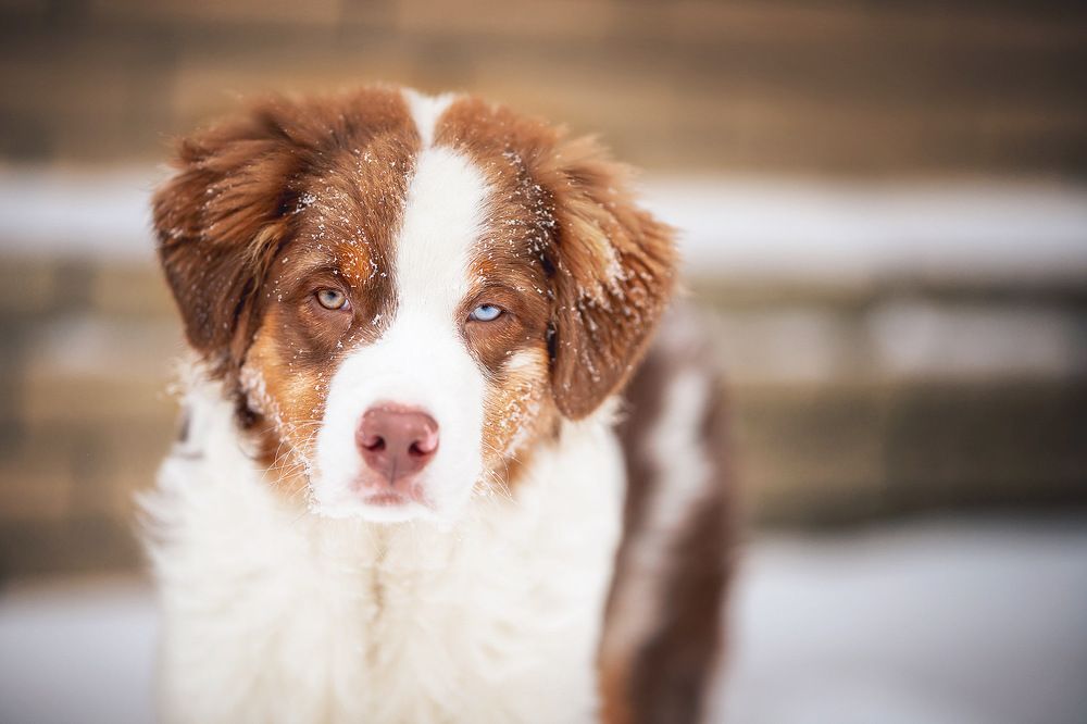 Photograph by Ольга Замковая