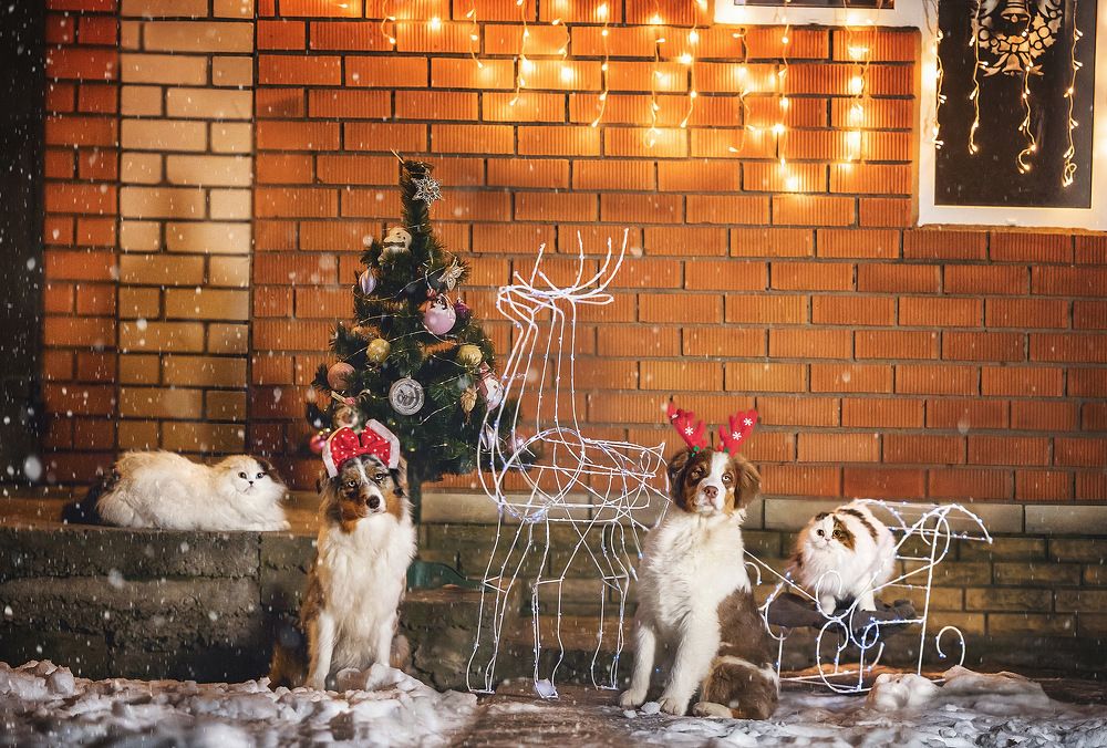 Photograph by Ольга Замковая