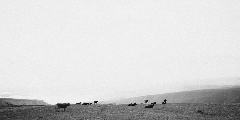 Photograph by Данил Прокопенко