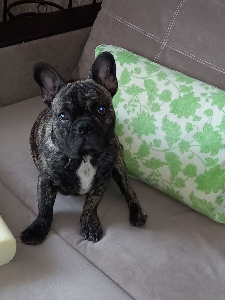 Photograph by Наталья Прахт