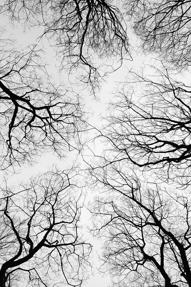 Photograph by Mostafa Mortazavi