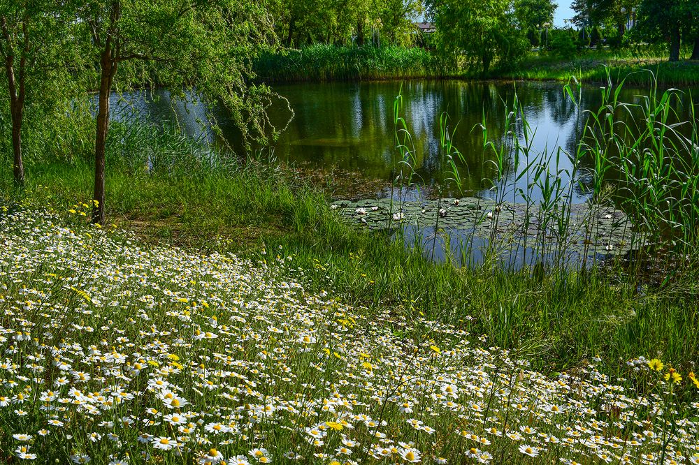 Фотография автора Ольга Усова