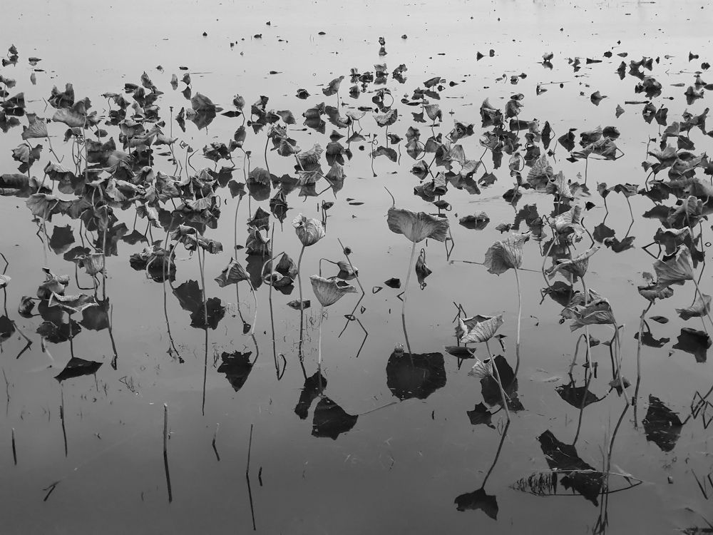 Photograph by Mostafa Mortazavi